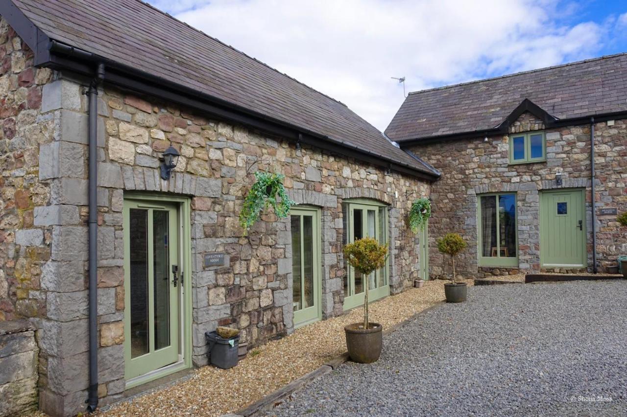 Villa Rhiwddu Barns Llangadog Exterior foto