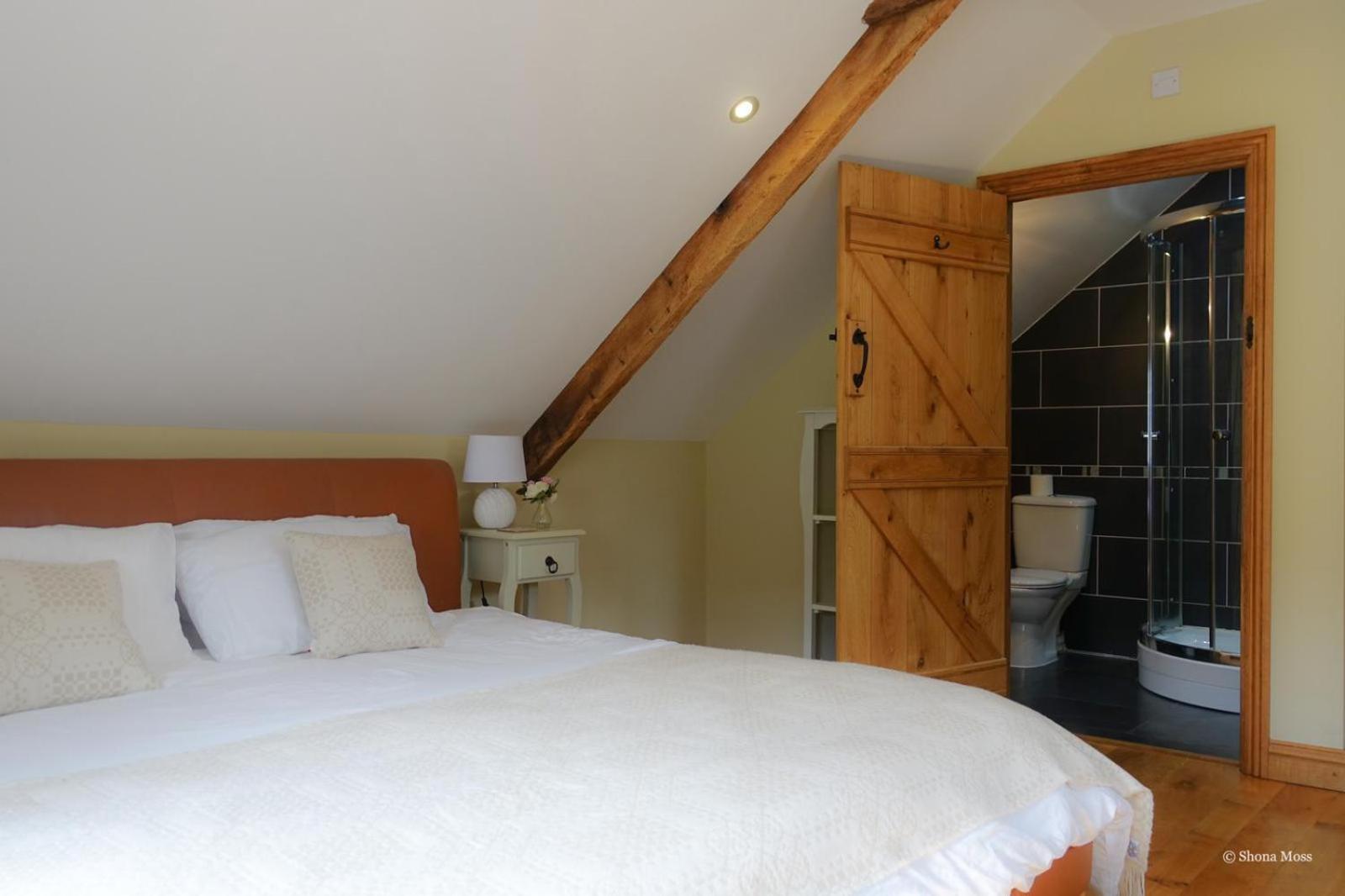 Villa Rhiwddu Barns Llangadog Habitación foto